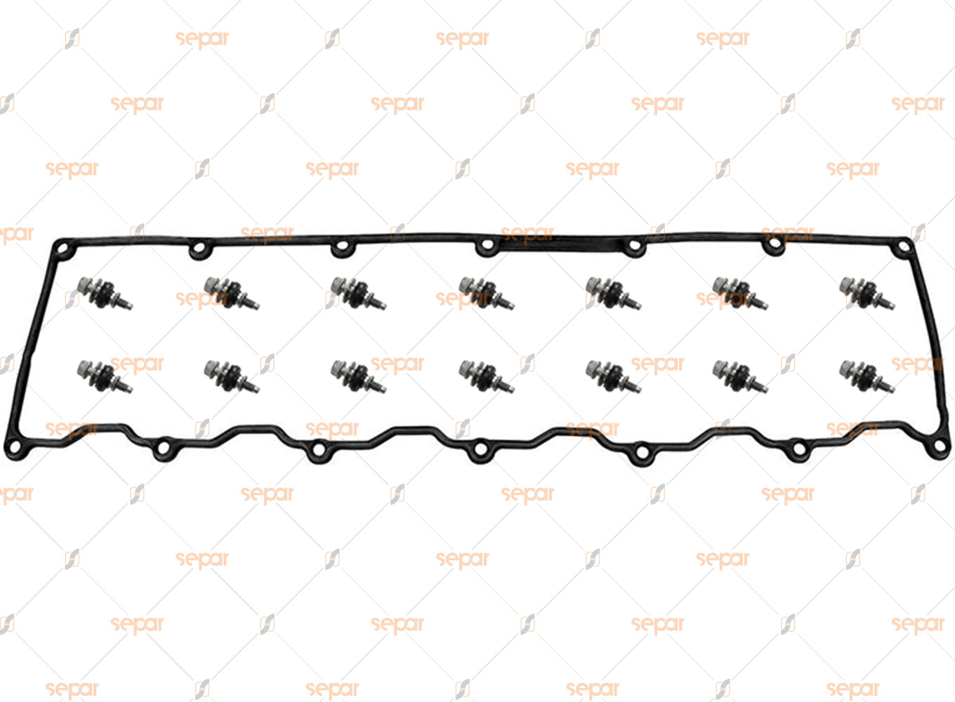 ROCKER COVER GASKET SET-WITH BOLT - MN.020.1060-1